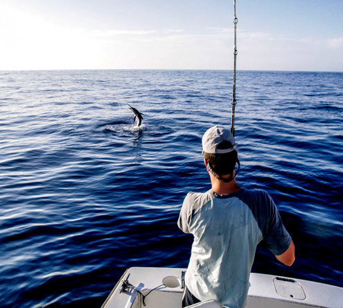 game_fishing