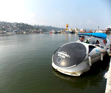 Andaman Dolphin