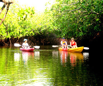 Kayaking Andaman