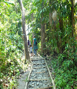 Baratang Island