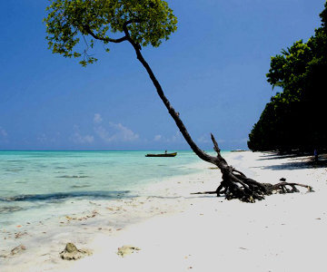 Havelock Island